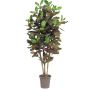 Croton décoratif JULISSA, tronc en bois véritable, multicolore, 175cm - Made in Italy