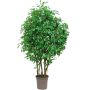 Ficus Benjamina artificiel SORAVIA, troncs naturels, vert, 150cm - Made in Italy