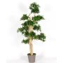 Podocarpus décoratif MIRANA, tronc naturel, vert, 180cm - Made in Italy