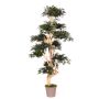 Arbre décoratif Érable du Japon SLAWIK, tronc en bois véritable, vert, 150cm - Made in Italy