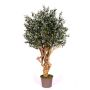 Olivier artificiel COTARIO, tronc en bois véritable, avec des fruits, 225cm - Made in Italy