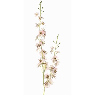 Branche d'orchidée Oncidium artificielle TALIAH, blanc-rose, 85cm Branche d'orchidée Oncidium artificielle TALIAH, blanc-rose, 85cm