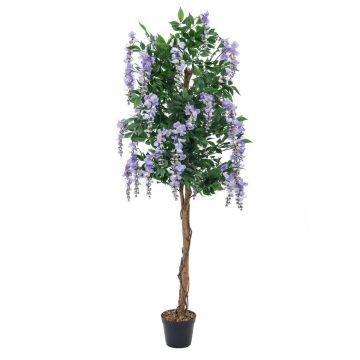 Glycine artificielle LESLIE, vrais troncs, fleurs, lilas, 180cm