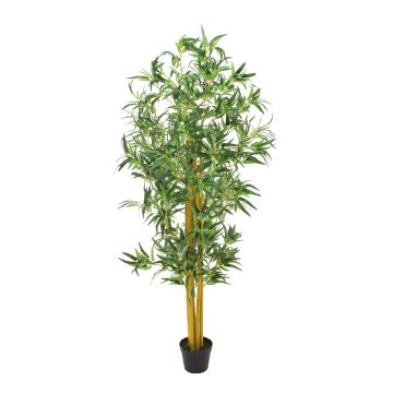 Bambou artificiel HIROKO, troncs naturels, vert, 180cm Bambou artificiel HIROKO, troncs naturels, vert, 180cm