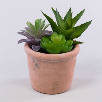 Arrangement de succulentes artificielles DANGELO dans un pot en terre cuite, vert-violet, 19cm