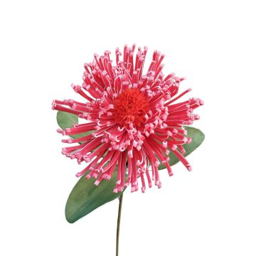 Leucospermum Protea en mousse synthétique ISLARTINA, rouge-fuchsia, 75cm Leucospermum Protea en mousse synthétique ISLARTINA, rouge-fuchsia, 75cm