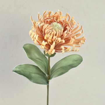 Leucospermum Protea en mousse synthétique ISLARTINA, crème-abricot, 75cm Leucospermum Protea en mousse synthétique ISLARTINA, crème-abricot, 75cm