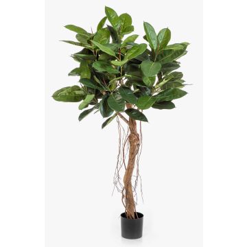 Faux ficus ADORU, tronc naturel, vert, 155 cm Faux ficus ADORU, tronc naturel, vert, 155 cm