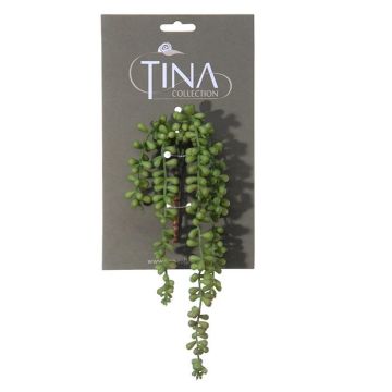 Succulente artificielle de séneçon NELLAS, piquet, vert, 35cm