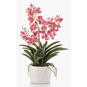 Orchidée Vanda artificielle PAVRA en pot en céramique, racines, rose fuchsia-blanc, 60cm