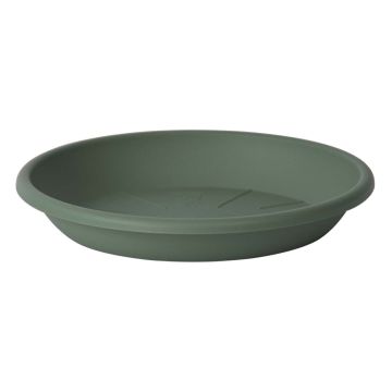 Soucoupe ronde pour cache-pot VENERA en plastique recyclé, avec des trous, vert sauge, 4cm, Ø24cm Soucoupe ronde pour cache-pot VENERA en plastique recyclé, avec des trous, vert sauge, 4cm, Ø24cm