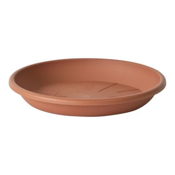 Soucoupe ronde pour cache-pot VENERA en plastique recyclé, avec des trous, terracotta, 5cm, Ø32cm Soucoupe ronde pour cache-pot VENERA en plastique recyclé, avec des trous, terracotta, 5cm, Ø32cm