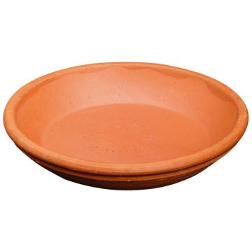 Soucoupe ronde pour pot de fleurs MELIZA en terre cuite, 4cm, Ø31cm Soucoupe ronde pour pot de fleurs MELIZA en terre cuite, 4cm, Ø31cm