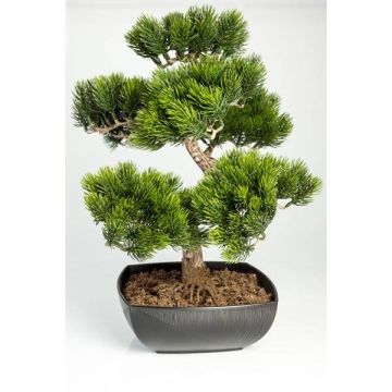 Bonsaï pin artificiel SHADIA, racines, coupe déco, vert, 50cm