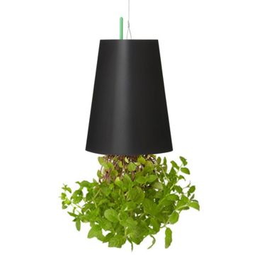 Plante artificielle LEVONT en pot décoratif, vert, 13 cm, Ø 9,5 cm