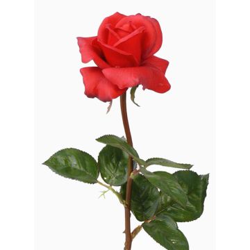 Rose artificielle AMELIE, rouge, 70cm, Ø8cm Rose artificielle AMELIE, rouge, 70cm, Ø8cm