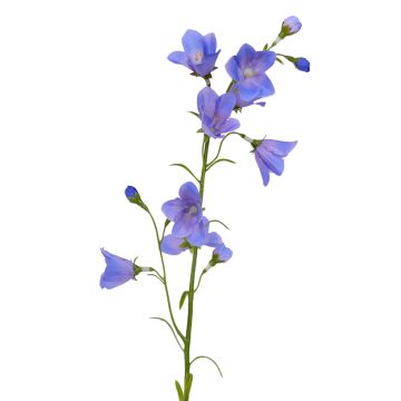 Campanule en soie GISELA, bleu, 65cm, Ø5cm Campanule en soie GISELA, bleu, 65cm, Ø5cm