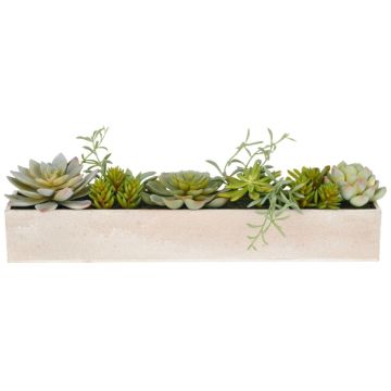 Arrangement de plantes succulentes artificielles TENTAR dans une coupe en ciment, vert, 18cm Arrangement de plantes succulentes artificielles TENTAR dans une coupe en ciment, vert, 18cm