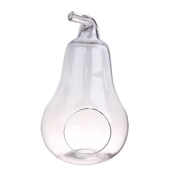 Terrarium pour plantes YVIE en forme de poire, verre, transparent, 36,5cm, Ø21cm