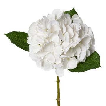 Fleur artificielle Hortensia KLUVT, blanc, 50cm Fleur artificielle Hortensia KLUVT, blanc, 50cm