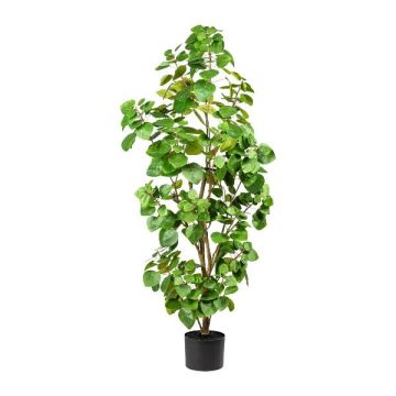 Arbre artificiel Eucalyptus MISNE, tronc artificiel, vert, 120 cm Arbre artificiel Eucalyptus MISNE, tronc artificiel, vert, 120 cm