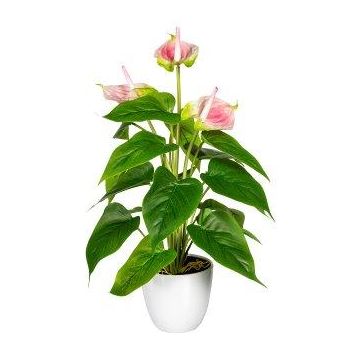 Fleur artificielle Anthurium PLOVIR en pot décoratif, racines, rose, 40cm