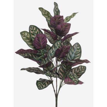 Plante artificielle Calathea makoyana TROGAR sur tige, vert-violet, 70 cm Plante artificielle Calathea makoyana TROGAR sur tige, vert-violet, 70 cm