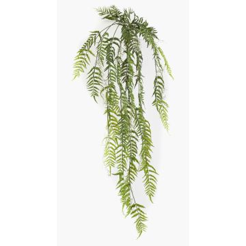 Plante artificielle fougère à feuilles en bouclier ZALGEN sur tige, racines, suspendue, verte, 150cm Plante artificielle fougère à feuilles en bouclier ZALGEN sur tige, racines, suspendue, verte, 150cm