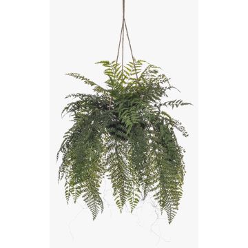 Fougère en forme d'épée décorative, fougère à cheveux de femme, suspension florale MAXROL, motte de terre, racines, suspendue, verte, 85 cm Fougère en forme d'épée décorative, fougère à cheveux de femme, suspension florale MAXROL, motte de terre, racines, suspendue, verte, 85 cm