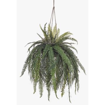 Fougère décorative « Frauenhaarfarn » en suspension MAXROL, motte de terre, racines, suspendue, verte, 90 cm