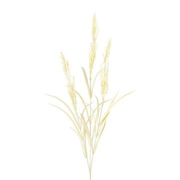 Branche décorative Calamagrostis epigejos BUTINA avec des panicules, beige, 85cm