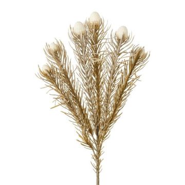 Branche décorative Leucospermum Protea KROLI, crème-brun, 50cm Branche décorative Leucospermum Protea KROLI, crème-brun, 50cm
