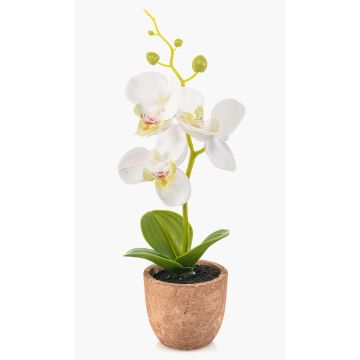 Orchidée Phalaenopsis en plastique LEONISA dans un pot en terre cuite, blanc, 20 cm