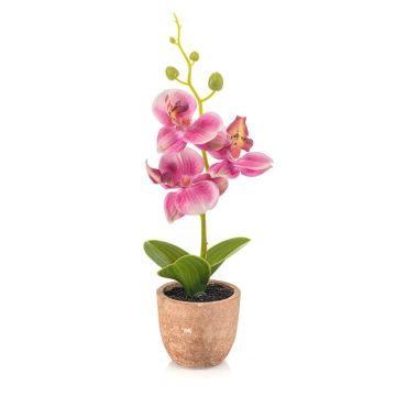 Orchidée Phalaenopsis en plastique LEONISA dans un pot en terre cuite, rose, 20 cm Orchidée Phalaenopsis en plastique LEONISA dans un pot en terre cuite, rose, 20 cm