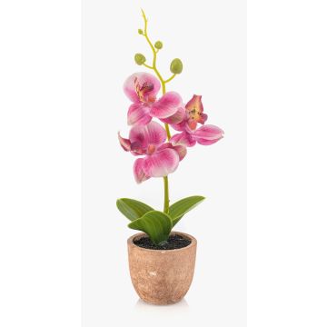 Orchidée Phalaenopsis en plastique LEONISA dans un pot en terre cuite, rose, 20 cm
