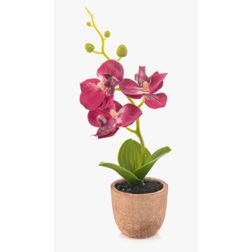 Orchidée Phalaenopsis en plastique LEONISA dans un pot en terre cuite, fuchsia, 20 cm