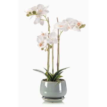 Orchidée Phalaenopsis artificielle JOLANA dans un pot en céramique, blanc, 45cm Orchidée Phalaenopsis artificielle JOLANA dans un pot en céramique, blanc, 45cm