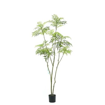 Arbre artificiel Mahonia KLEANA, troncs artificiels, vert, 210 cm