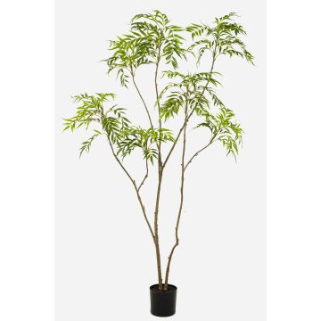 Arbre artificiel Mahonia KLEANA, troncs artificiels, vert, 210 cm