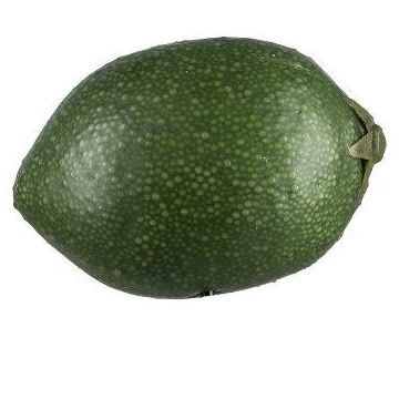 Fruit décoratif Citron vert POLASY, vert foncé, 4,5cm, Ø3,5cm Fruit décoratif Citron vert POLASY, vert foncé, 4,5cm, Ø3,5cm