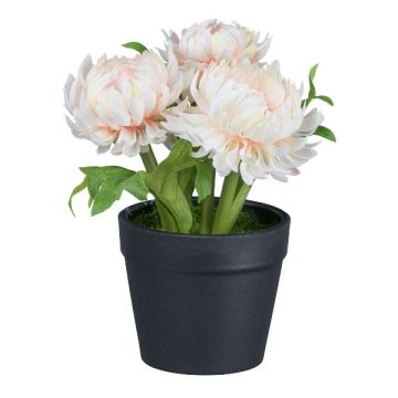 Fleur artificielle Phaenocoma prolifera GLOMST en pot décoratif, pêche, 14cm Fleur artificielle Phaenocoma prolifera GLOMST en pot décoratif, pêche, 14cm