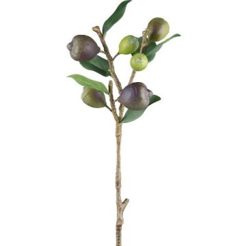 Branche artificielle de figuier FLOVAR avec des fruits, vert, 60cm Branche artificielle de figuier FLOVAR avec des fruits, vert, 60cm