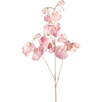 Branche décorative Lathyrus latifolius SLIRKEN, rose clair, 75cm