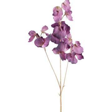 Branche décorative Lathyrus latifolius SLIRKEN, lilas foncé, 75cm