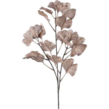 Branche artificielle Ginkgo LIMVAR, brun, 60cm Branche artificielle Ginkgo LIMVAR, brun, 60cm