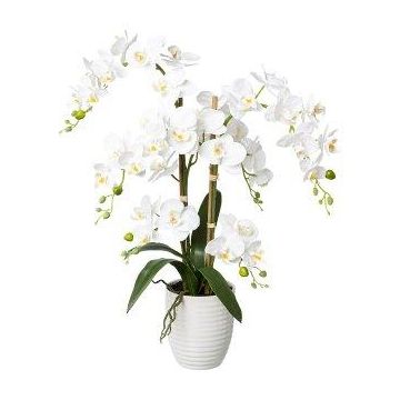Orchidée Phalaenopsis artificielle LUKREN dans un pot en céramique, avec racines, blanche, 65cm