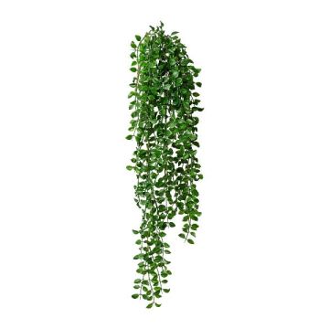 Suspension artificielle Columnea KOLHIN, tige, verte, 85 cm