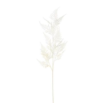 Branche artificielle Asparagus Plumosus VORLON, crème, 85cm
