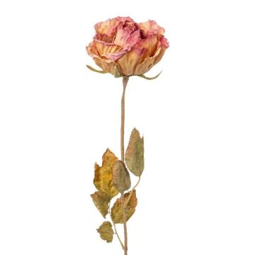 Fleur décorative Rose PANSOK, aspect sec, rose, 55cm