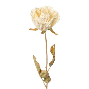 Fleur décorative Rose PANSOK, aspect sec, crème, 55cm, Ø7cm Fleur décorative Rose PANSOK, aspect sec, crème, 55cm, Ø7cm